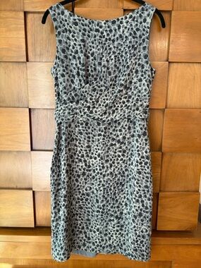 Ann Taylor Silk Dress